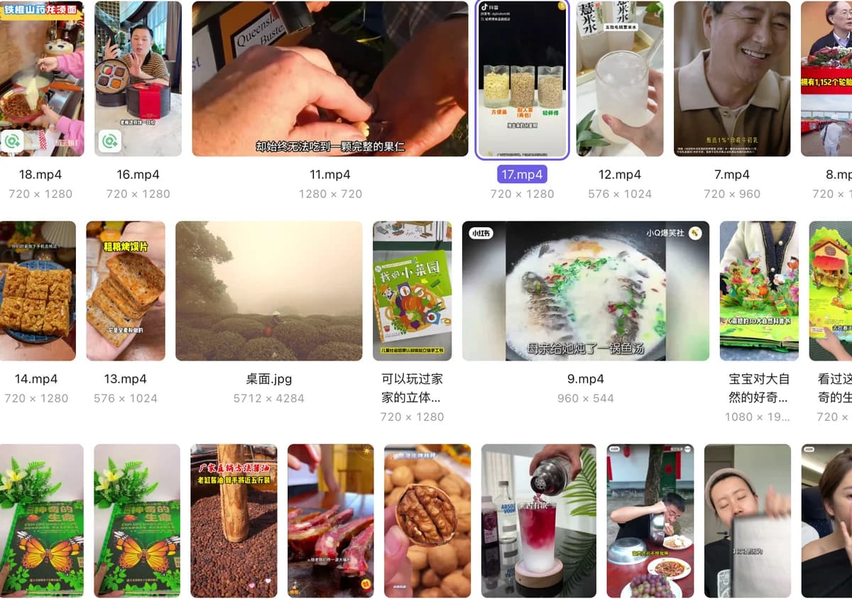 素材库中的视频与图片缩略图，支持浏览与分类管理